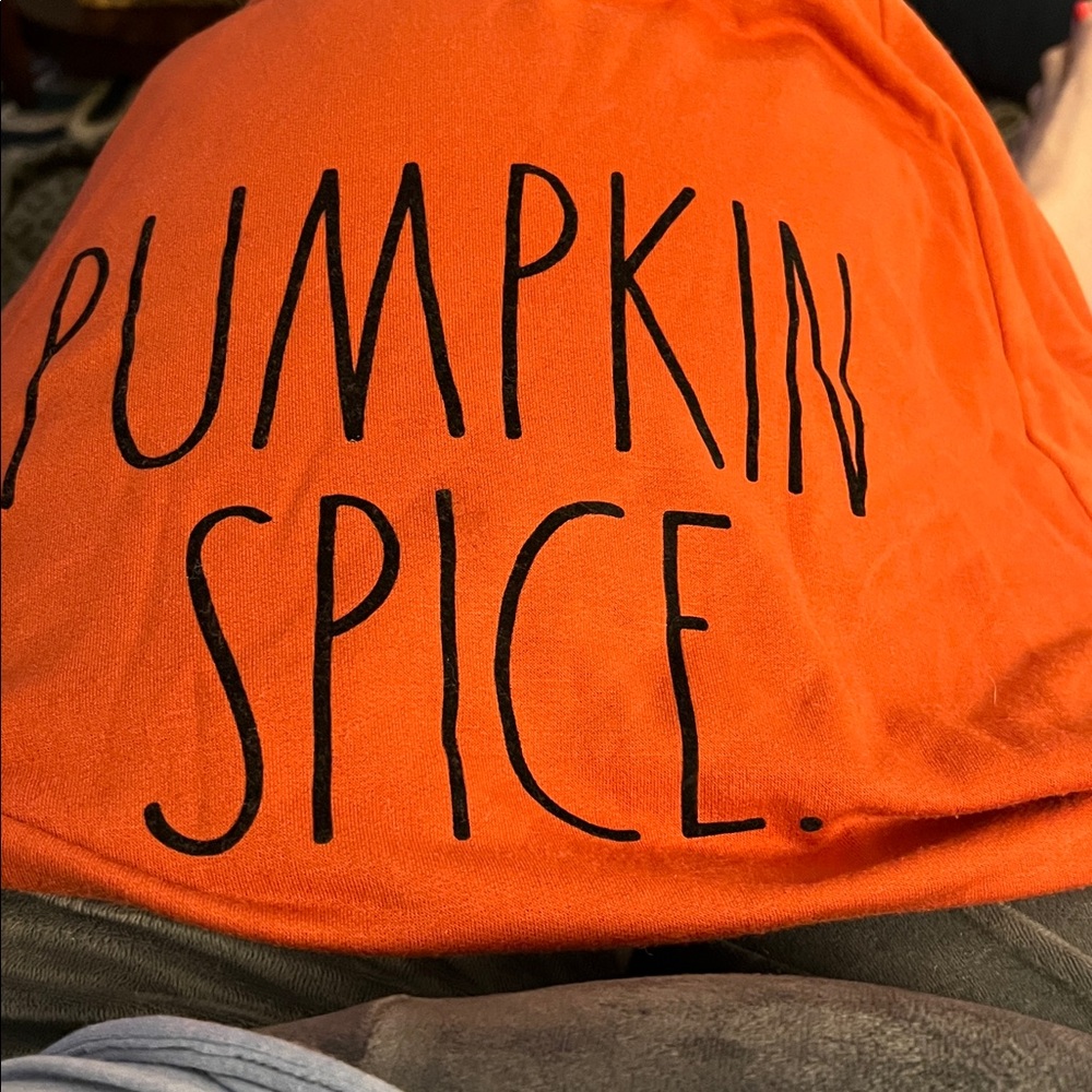 RAE DUNN PUMPKIN SPICE SWEATSHIRT